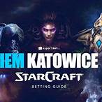 starcraft 2 bet for money